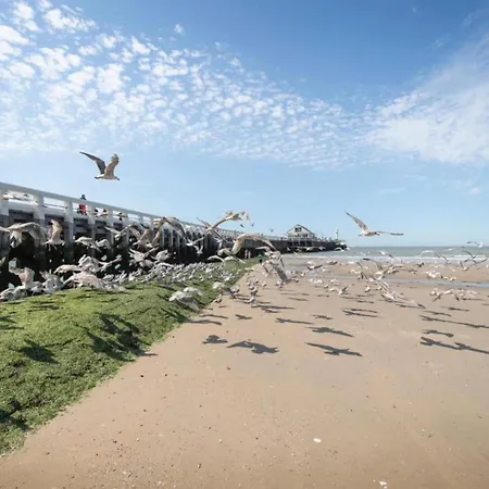 In By The Apartmán Blankenberge